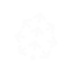Pinecone
